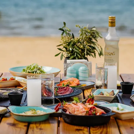 The Arkin Iskele Iskele District (Northern Cyprus)